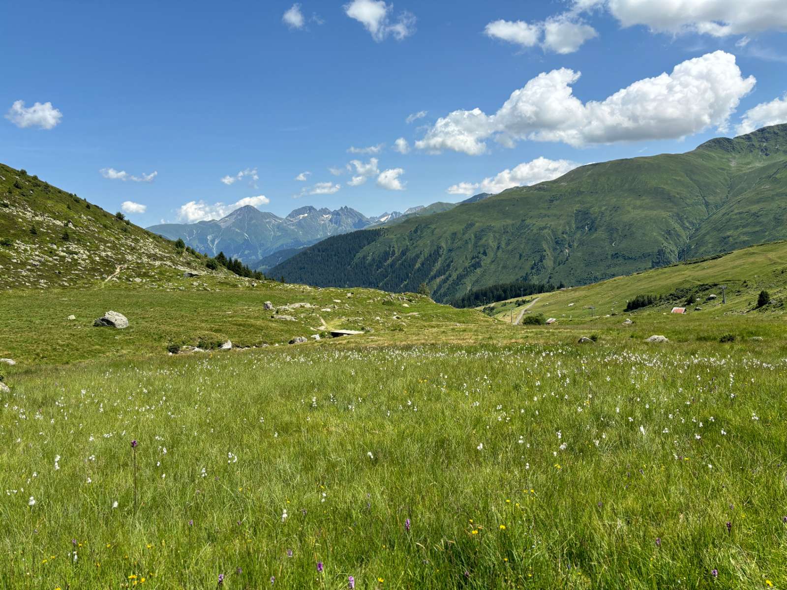 Flachmoor Val Giuv vor Berglandschaft